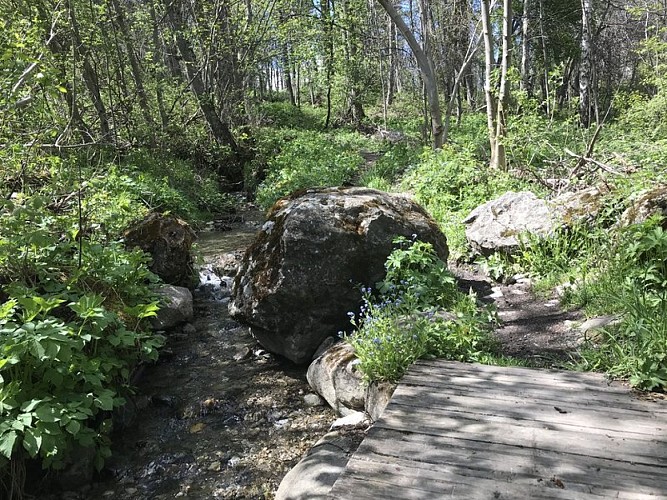 Trail N°24 - Le circuit du Béal