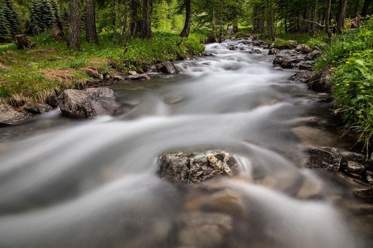 Trail N°25 - D'Oréac à Narreyroux