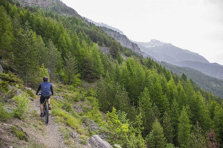 VTT N°03 - Circuit des Choulières