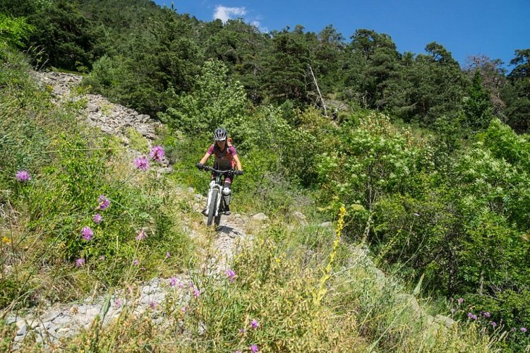 VTT N°16 - Le Tour des Têtes