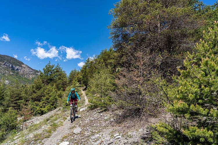 VTT N°18 - Les Eyssuches