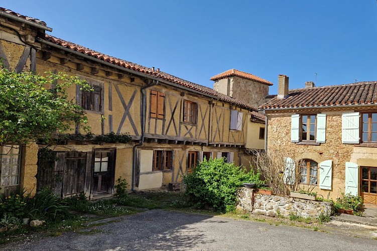 Saint-Loup où es-tu ?_Mirande