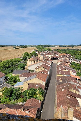 Saint-Loup où es-tu ?_Mirande