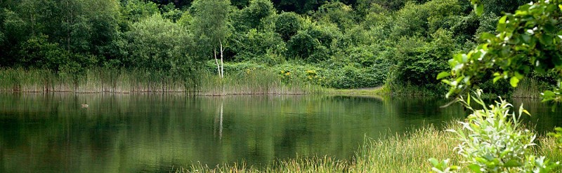 Val du Flot sentier des Acacias