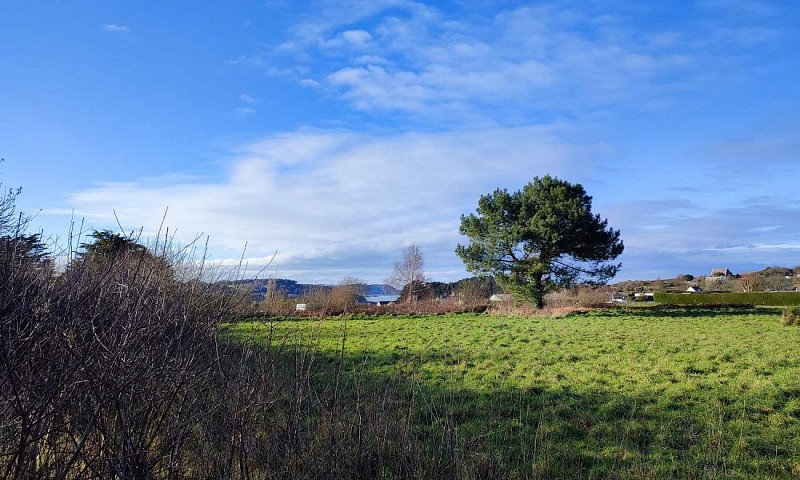 Vue sur la mer - Locquirec