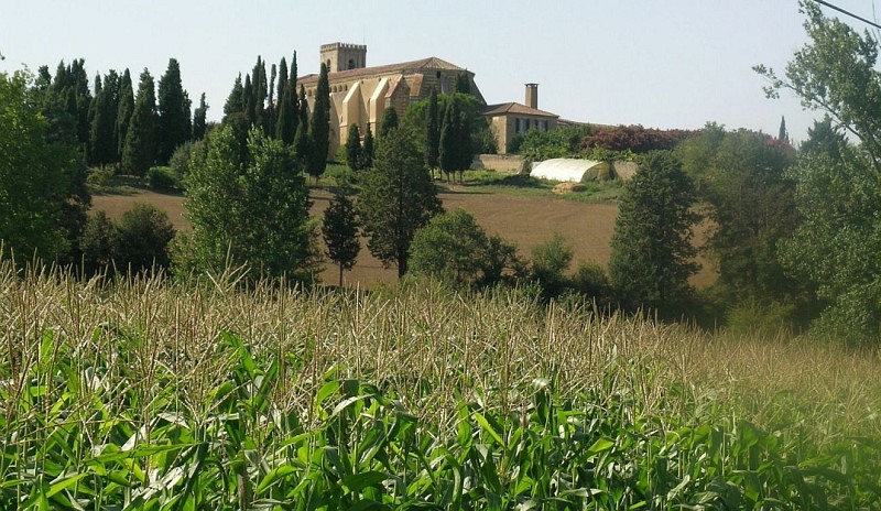 Vue sur les Pyrénées