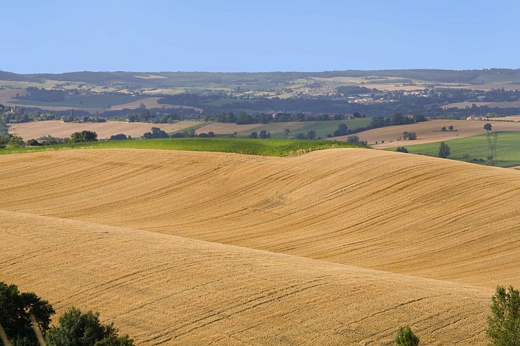 Paysages - L'Isle-Jourdain