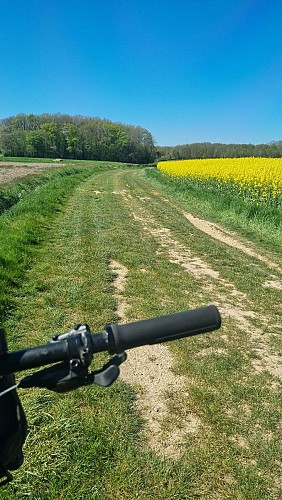 VTT-VTC link (L6) St Trivier de Courtes - Plan d'eau de Mépillat