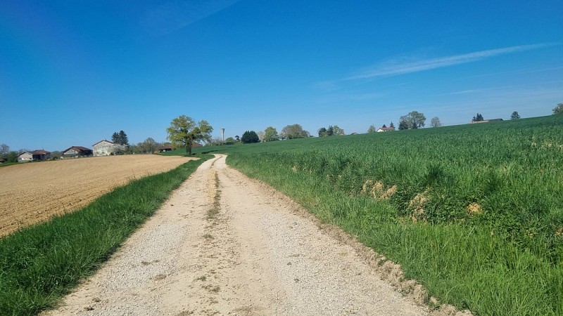 VTT-VTC link (L6) St Trivier de Courtes - Plan d'eau de Mépillat