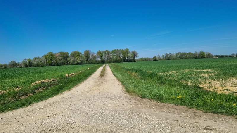 Liaison VTT (L6) St Trivier de Courtes - Plan d'eau de Mépillat_Saint-Trivier-de-Courtes