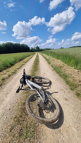 Liaison VTT-VTC (L6) St Trivier de Courtes - Plan d'eau de Mépillat_Saint-Trivier-de-Courtes