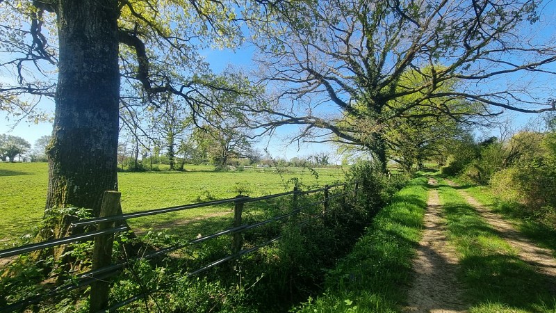 Liaison VTT (L4) St Trivier de Courtes - Ferme de la Forêt_Saint-Trivier-de-Courtes