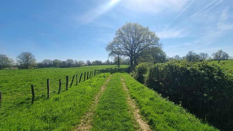 Liaison VTT (L3) Mantenay Montlin - Ferme de la Forêt_Mantenay-Montlin