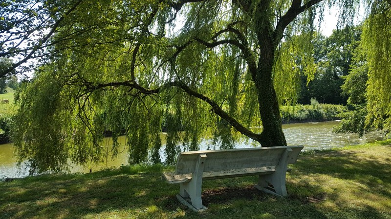 Liaison VTT (L3) Mantenay Montlin - Ferme de la Forêt_Mantenay-Montlin
