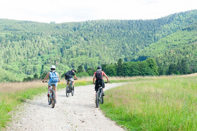 Circuit Val d'Argent, Châteaux et Vallée de Villée - L'Alsace Centrale à Vélo