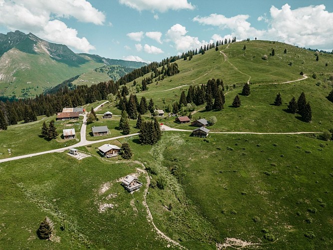 Boucle pédestre - Mont Chéry par Col de Lachat depuis Mont Caly_Les Gets