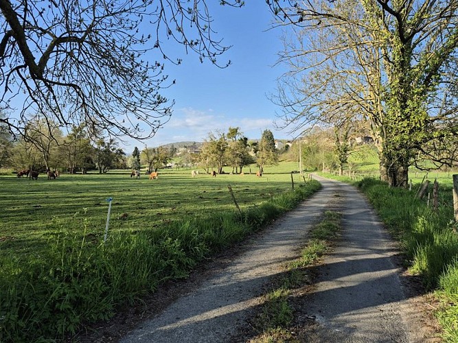 Promenade autour d'Ardiège (85)