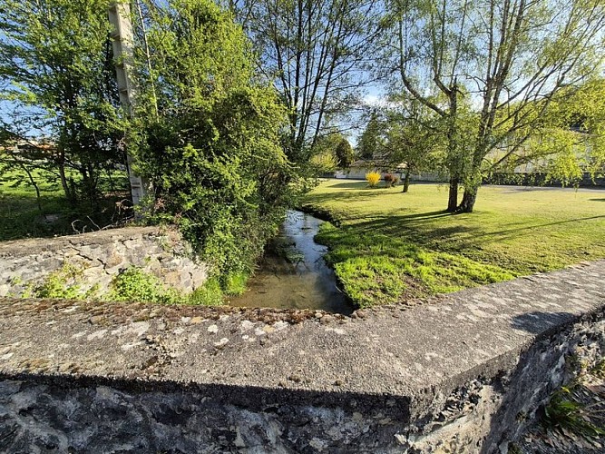 Promenade autour d'Ardiège (85)