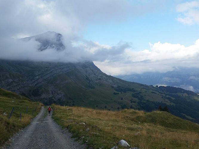sentier VTT : les chalets de Coeur_Sallanches