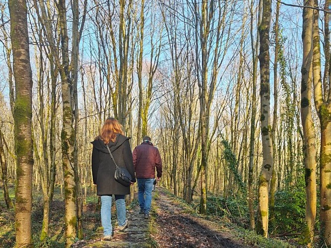 Circuit de la ville à la forêt