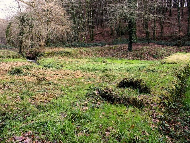 Piscine des verriers