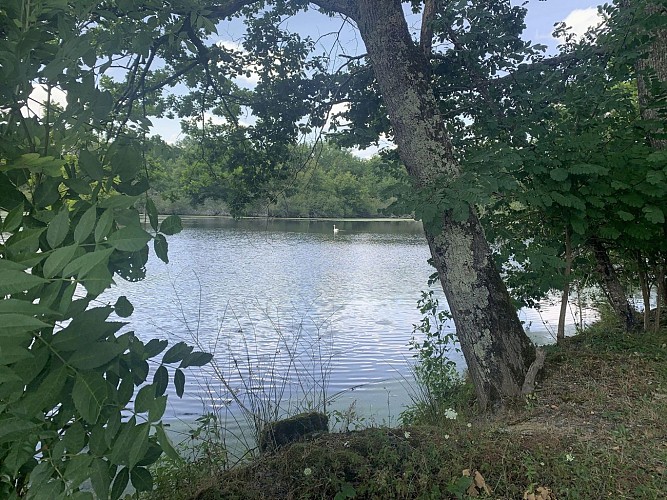 Randonnée : Sentier des Sources libres_Dompierre-sur-Besbre