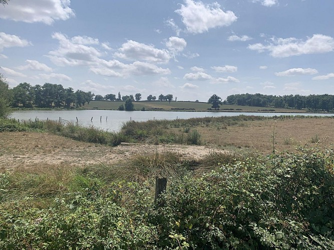 Randonnée : Sentier des Sources libres_Dompierre-sur-Besbre