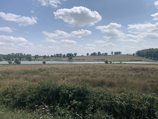 Randonnée : Sentier des Sources libres_Dompierre-sur-Besbre