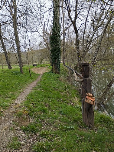Auterrive : Le sentier des berges du Gers_Auterive
