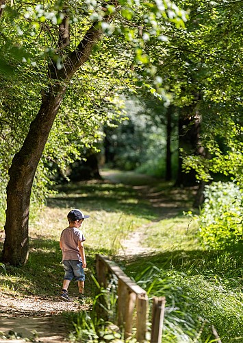 Auterrive : Le sentier des berges du Gers