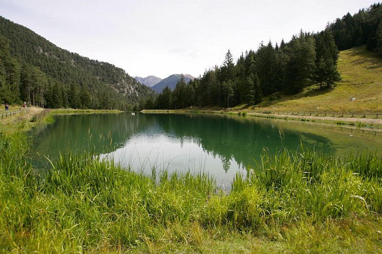 Circuit Joëlette - La Cime de Colmiane
