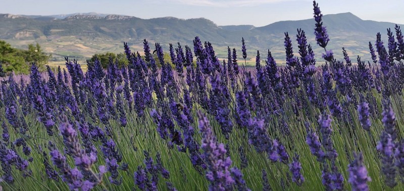 Vallée de L'Ennuyé Sainte Jalle