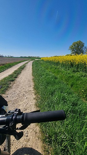 Circuit VTT-VTC n°11 (bleu) - Prairie de Jayat - Chartreuse de Montmerle_Malafretaz