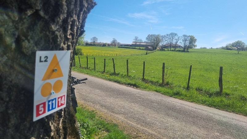 Circuit VTT-VTC n°11 (bleu) - Prairie de Jayat - Chartreuse de Montmerle_Malafretaz