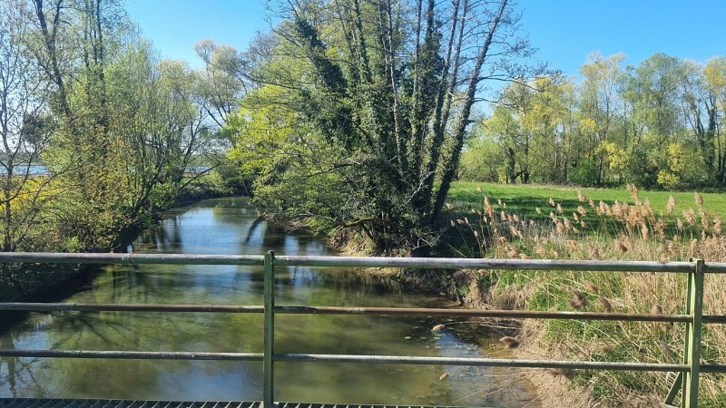 Circuit VTT-VTC n°11 (bleu) - Prairie de Jayat - Chartreuse de Montmerle_Malafretaz