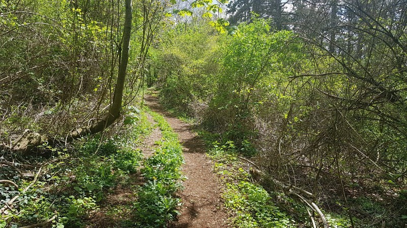 Autreville-sur-Moselle sentier vers La Côte