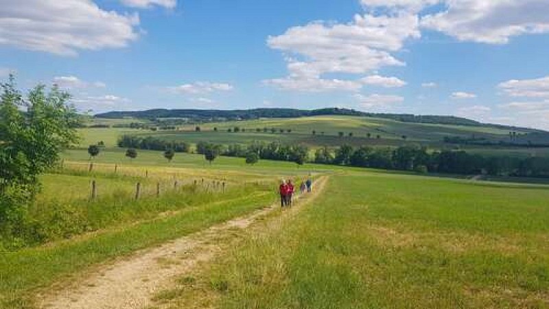 Boucle de la colline Landremont