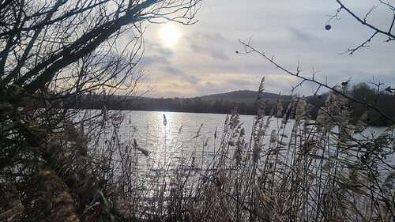 Etang
