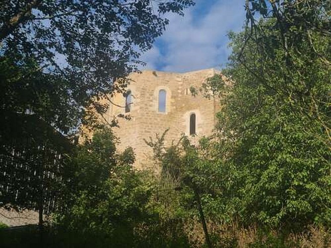 Ruine du Château de Mousson