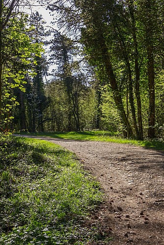 Au Bois-le-Prêtre – Circuit de la Croix des Carmes