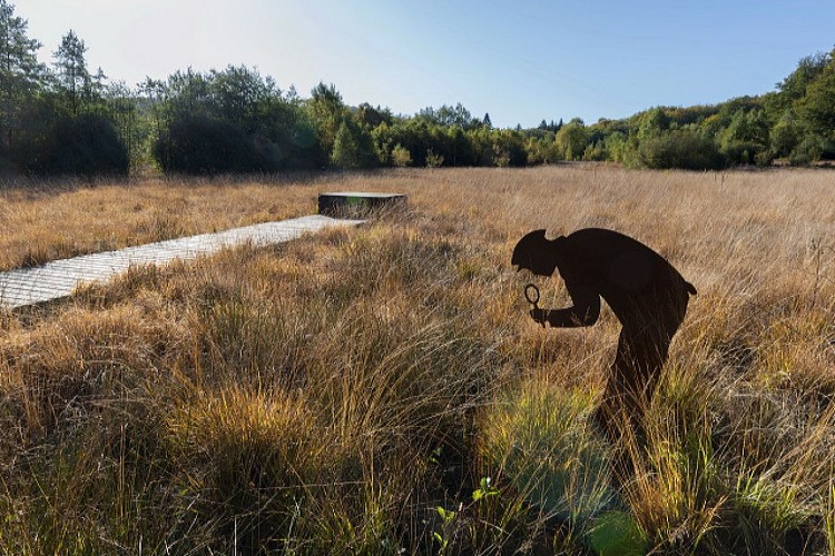 Les Sources de l'Yonne