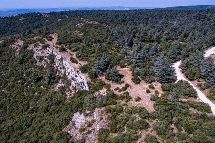 La Forêt des Cèdres vue du ciel