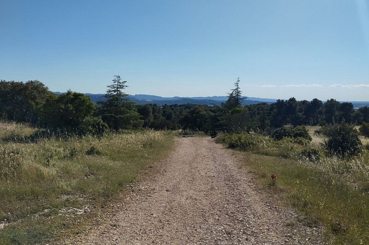 Chemin de Pied Caud et massif des Alpilles