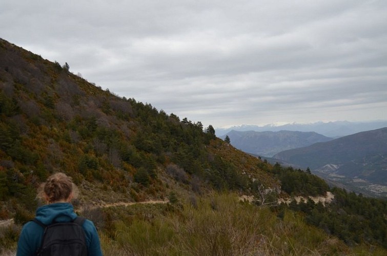 La vallée de l'Oule