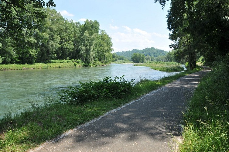 Bord de l'Adour