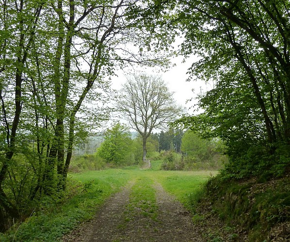 Verborgene  Landschaften - Streckenabschnitt 1 - Kautenbach - Wiltz