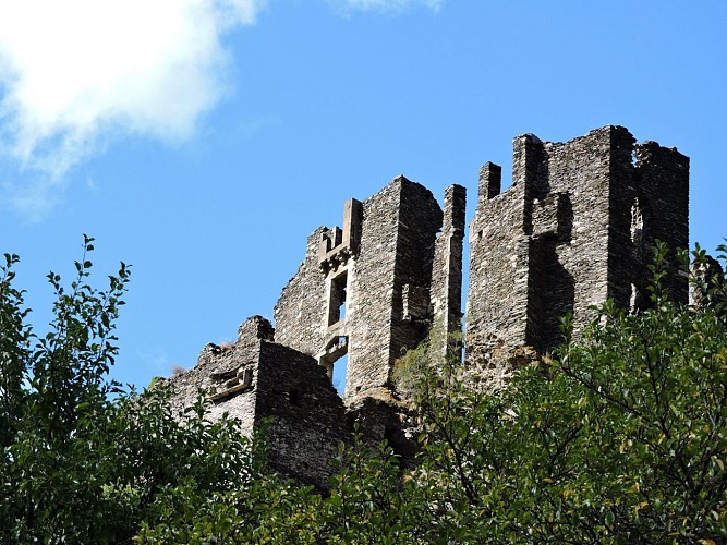 Château de Saint-Julien d'Arpaon