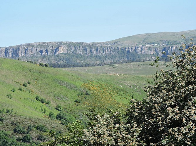 Vue sur les corniches du causse Méjean