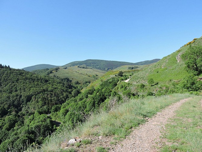 Vue sur le Mont Aigoual