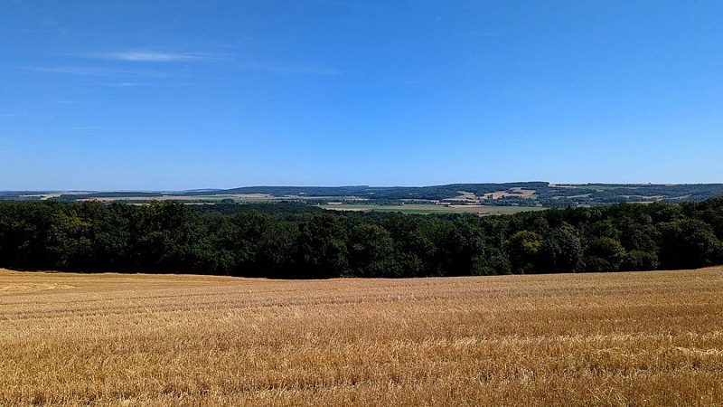 Hauteurs de Beaurieux II